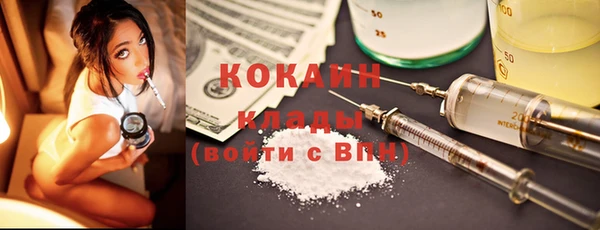 сатива Баксан