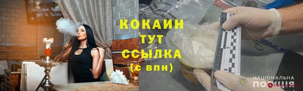 сатива Баксан