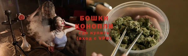 сатива Баксан