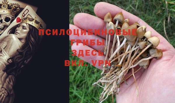 твердый Балабаново